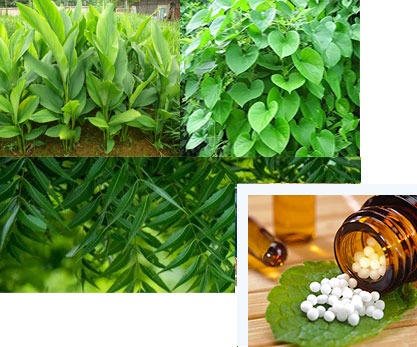 AYUSH Project
